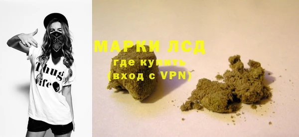 гидра Аркадак