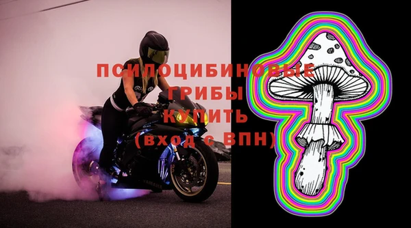 винт Арсеньев