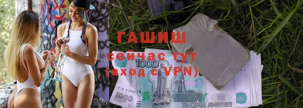 гидра Аркадак