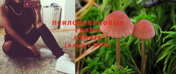винт Арсеньев